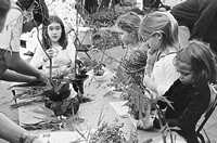 Basketmaking workshop