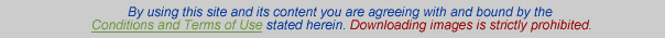 Terms and Conditions